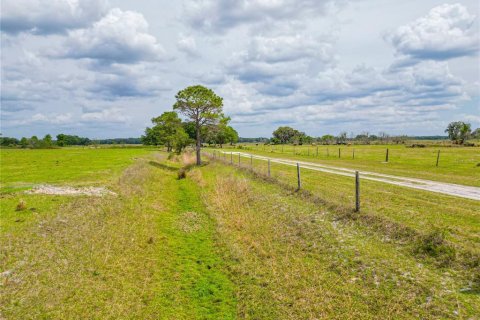 Land in Lake Panasoffkee, Florida № 414445 - photo 4