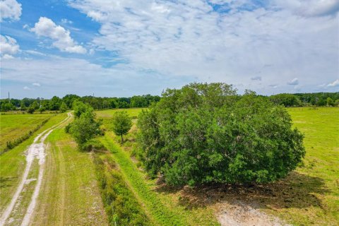 Land in Lake Panasoffkee, Florida № 414445 - photo 5