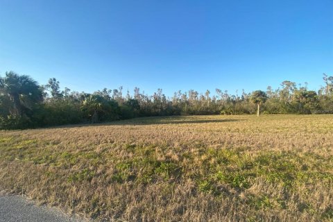 Land in Placida, Florida № 1589936 - photo 3
