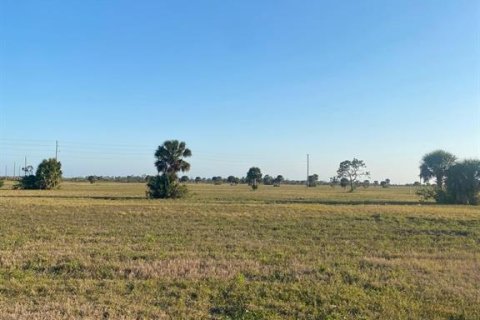 Land in Placida, Florida № 1589936 - photo 10