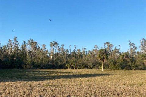 Land in Placida, Florida № 1589936 - photo 5