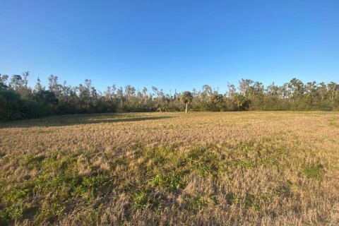 Land in Placida, Florida № 1589936 - photo 4