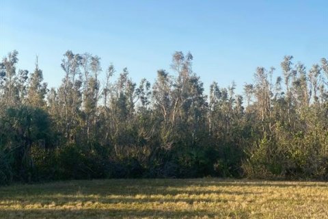Land in Placida, Florida № 1589936 - photo 14