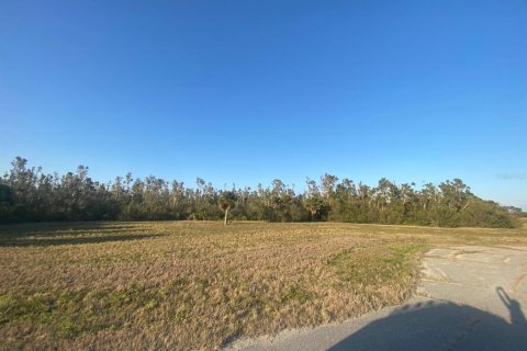 Land in Placida, Florida № 1589936 - photo 11
