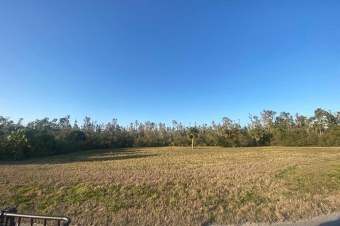 Land in Placida, Florida № 1589936 - photo 8