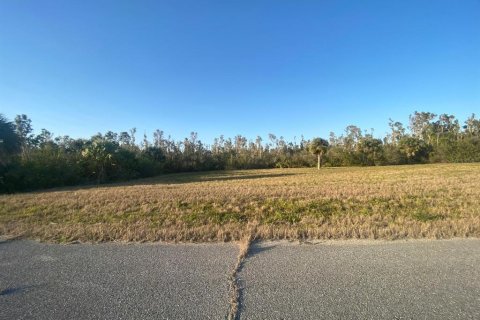 Land in Placida, Florida № 1589936 - photo 6