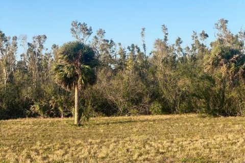 Land in Placida, Florida № 1589936 - photo 16