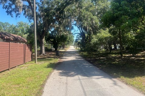Land in Tarpon Springs, Florida № 2388268 - photo 5