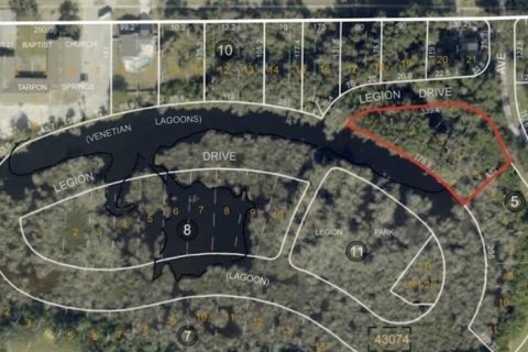 Land in Tarpon Springs, Florida № 2388268