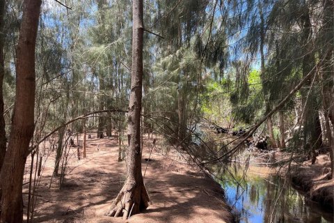 Land in Tarpon Springs, Florida № 2388268 - photo 14