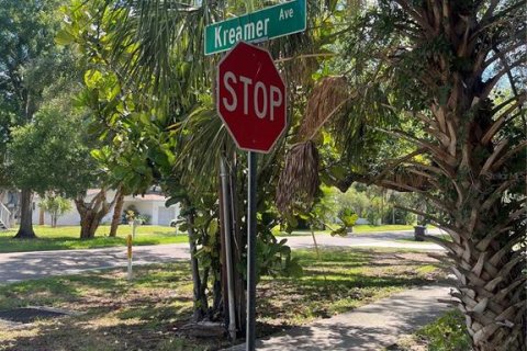 Land in Tarpon Springs, Florida № 2388268 - photo 6