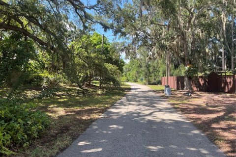 Land in Tarpon Springs, Florida № 2388268 - photo 4