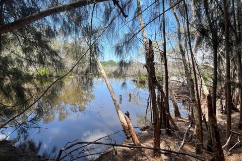 Land in Tarpon Springs, Florida № 2388268 - photo 10