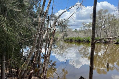 Land in Tarpon Springs, Florida № 2388268 - photo 7