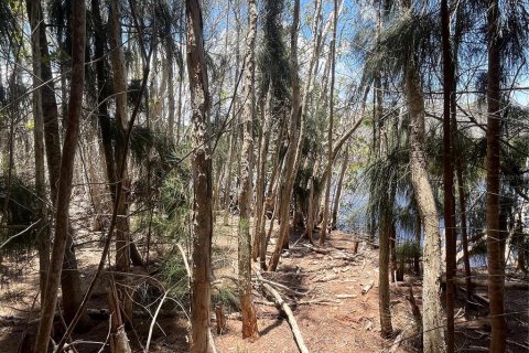 Land in Tarpon Springs, Florida № 2388268 - photo 23