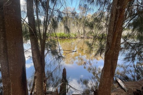 Land in Tarpon Springs, Florida № 2388268 - photo 11