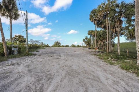 Immobilier commercial à vendre à West Palm Beach, Floride № 1713425 - photo 3