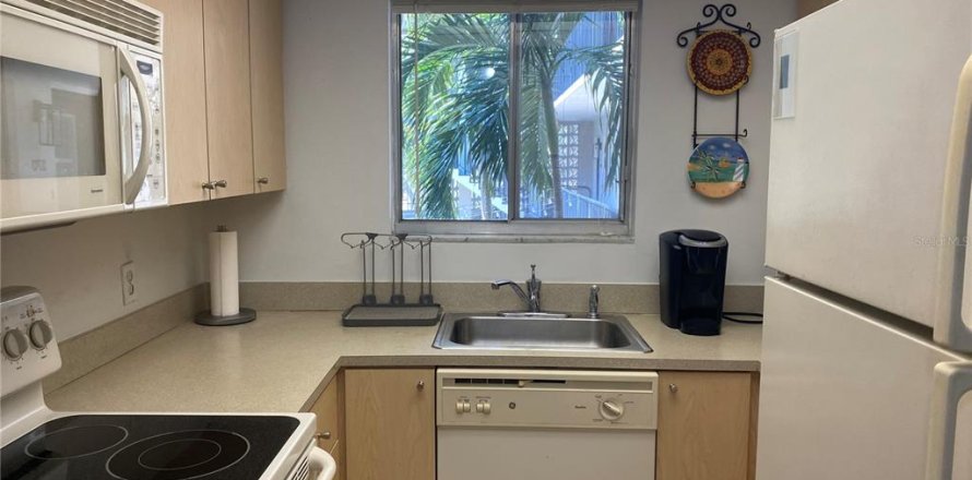 Studio à Condo à Saint Petersburg, Floride № 1393047
