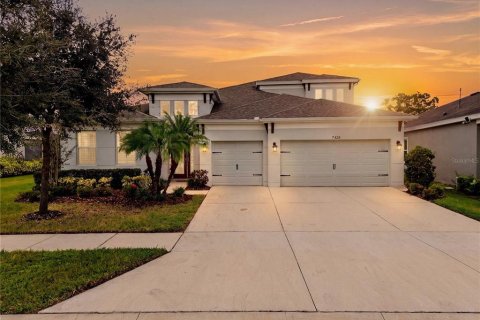 Villa ou maison à Apollo Beach, Floride 5 chambres, 306.67 m2 № 2436678