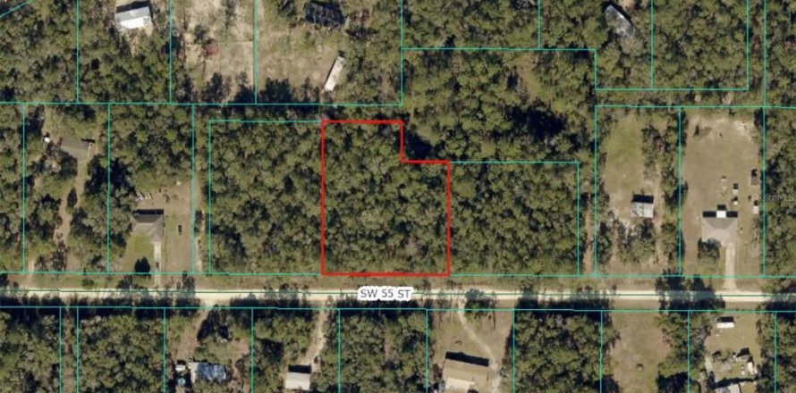 Land in Ocala, Florida № 2224625