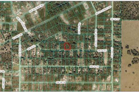 Land in Ocala, Florida № 2224625 - photo 3