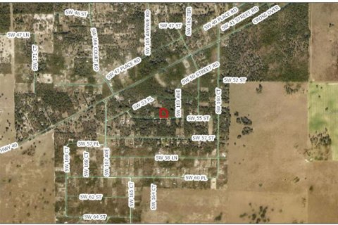 Land in Ocala, Florida № 2224625 - photo 2