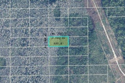 Terreno en venta en Orlando, Florida № 2165558 - foto 2