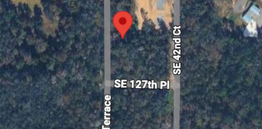Land in Belleview, Florida № 2165748