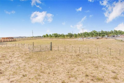 Land in Haines City, Florida № 2165975 - photo 11