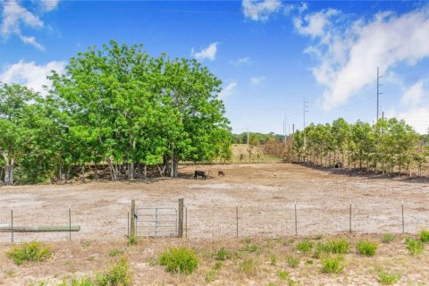 Land in Haines City, Florida № 2165975 - photo 5