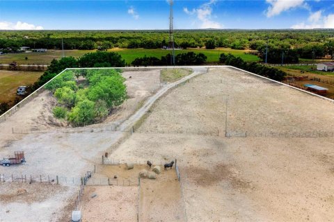 Land in Haines City, Florida № 2165975 - photo 3