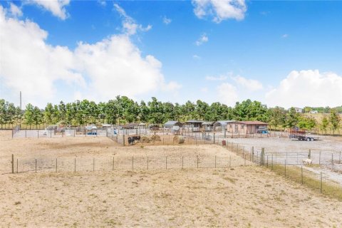 Land in Haines City, Florida № 2165975 - photo 13