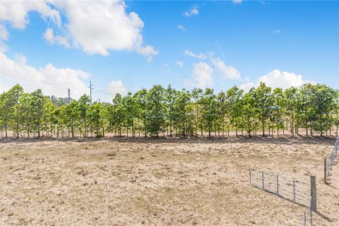 Land in Haines City, Florida № 2165975 - photo 6