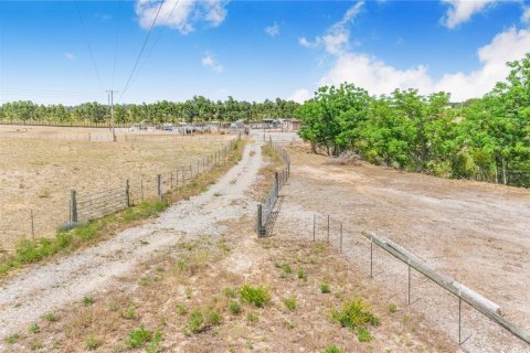 Land in Haines City, Florida № 2165975 - photo 7