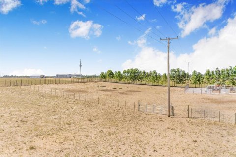 Land in Haines City, Florida № 2165975 - photo 9