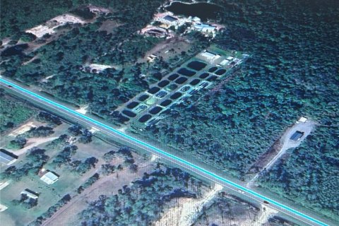 Terreno en venta en Lake Wales, Florida № 1513131 - foto 1