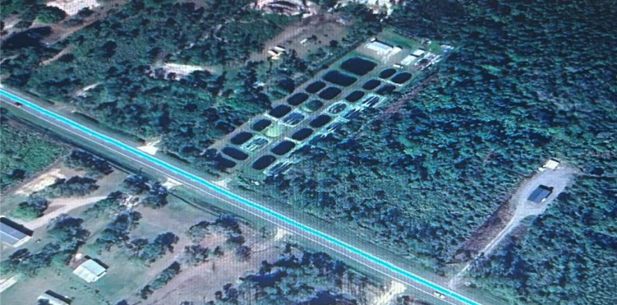 Terreno en Lake Wales, Florida № 1513131