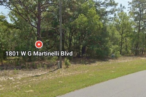Land in Citrus Springs, Florida № 2160974 - photo 2