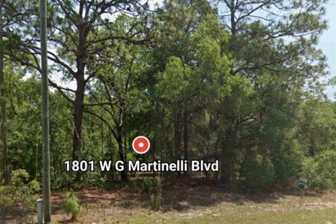 Land in Citrus Springs, Florida № 2160974