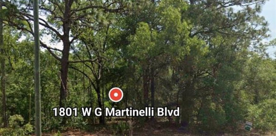 Land in Citrus Springs, Florida № 2160974