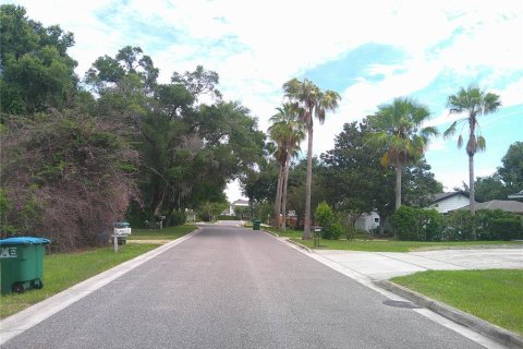 Terrain à louer à Maitland, Floride № 2130022 - photo 8