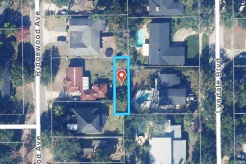Terrain à Maitland, Floride № 2130022