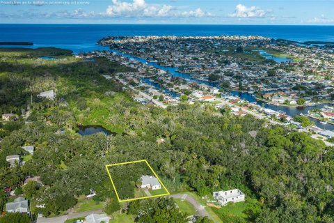 Villa ou maison à vendre à New Port Richey, Floride: 2 chambres, 149.39 m2 № 2352450 - photo 7