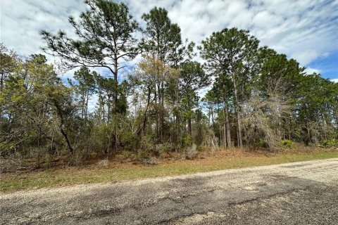 Land in Dunnellon, Florida № 2234899