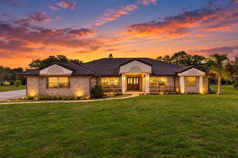 Villa ou maison à Kissimmee, Floride 4 chambres, 320.7 m2 № 2406689