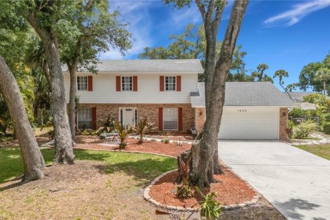 House in Nokomis, Florida 4 bedrooms, 242.01 sq.m. № 2306301