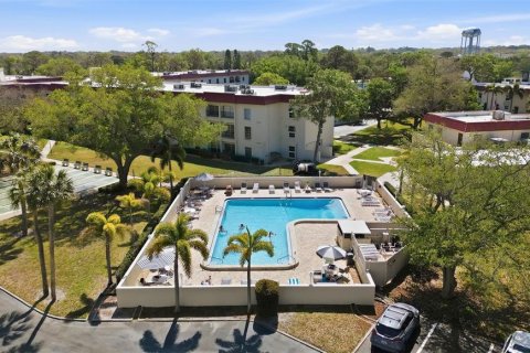 Copropriété à louer à Dunedin, Floride: 2 chambres, 86.4 m2 № 2386113 - photo 26