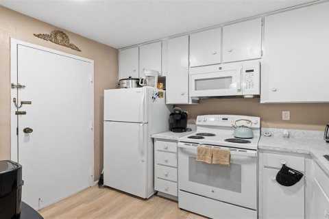 Copropriété à louer à Dunedin, Floride: 2 chambres, 86.4 m2 № 2386113 - photo 12