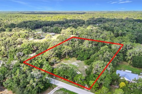 Villa ou maison à vendre à Zephyrhills, Floride: 2 chambres, 53.51 m2 № 2212364 - photo 10
