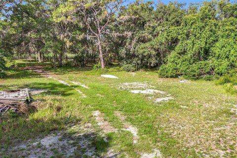Villa ou maison à vendre à Zephyrhills, Floride: 2 chambres, 53.51 m2 № 2212364 - photo 12